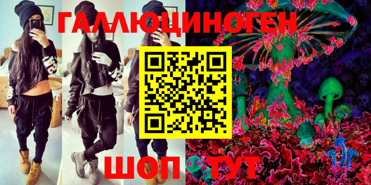 Елизово  Псилоцибиновые грибы GOLDEN TEACHER  Вход с VPN 